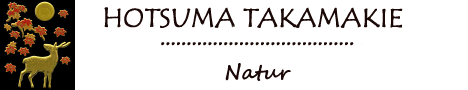 HOTSUMA-TAKAMAKIE>>Natur Design f�r das Handy